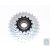 Racsni 6-os Index LDR 14-28T